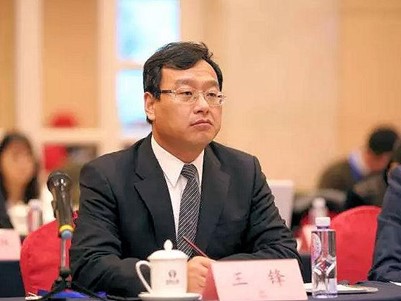 Linglong chairman intent on continued innovation through crisis
